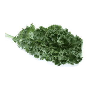 Black Cabbage Wholesale