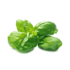 Basil Wholesale