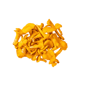 Chanterelle Mushrooms Wholesale