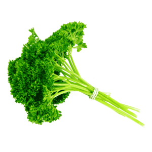 Curly Parsley Wholesale