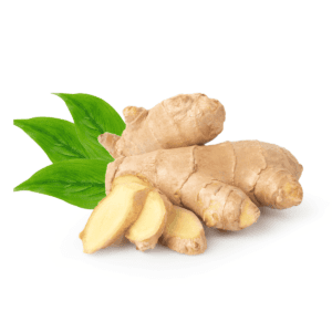 Ginger Wholesale