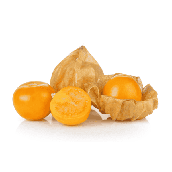 Physalis Wholesale