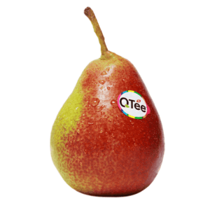 Qtee Pears Wholesale