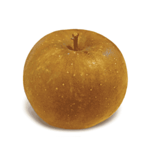 Russet Apples Wholesale