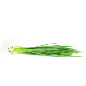 Spring Onions Wholesale