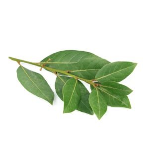 Bay Leaves Wholesale