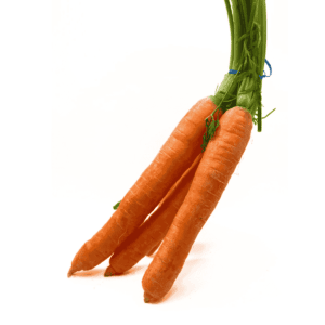 Bunched Carrots Wholesale