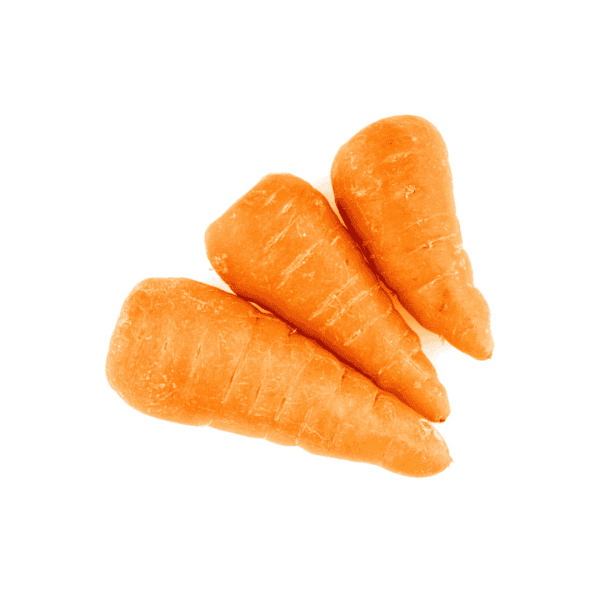 Chantenay Carrots Wholesale