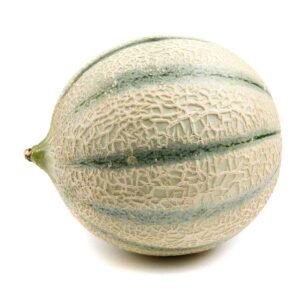 Charentais Melons Wholesale