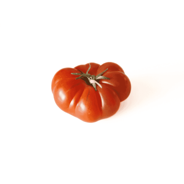 Couer De Boeuf Tomatoes Wholesale