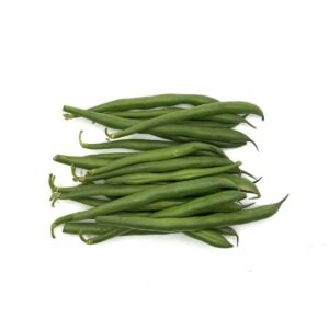 Fine Beans Wholesale