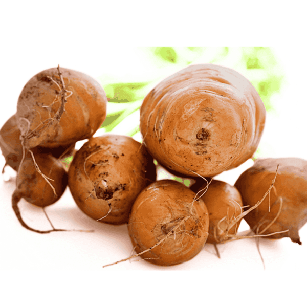 Golden Beetroot Wholesale