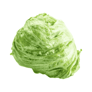 Iceberg Lettuce Wholesale