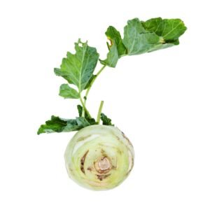 Kohlrabi Wholesale