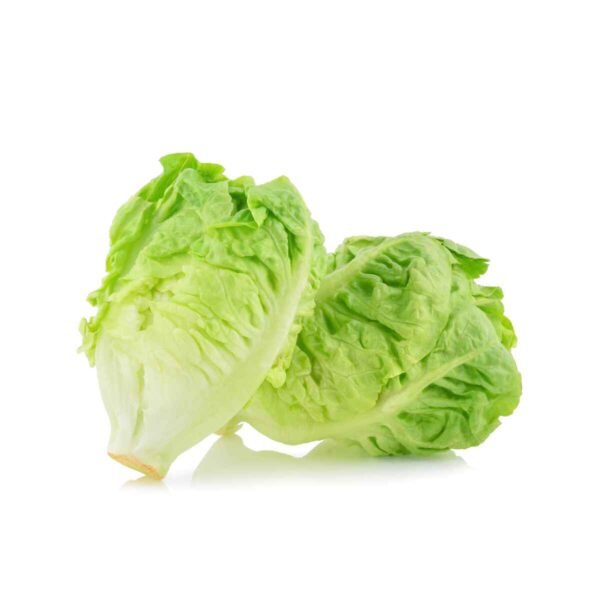 Little Gem Lettuce Wholesale