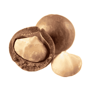 Macadamia Nuts Wholesale