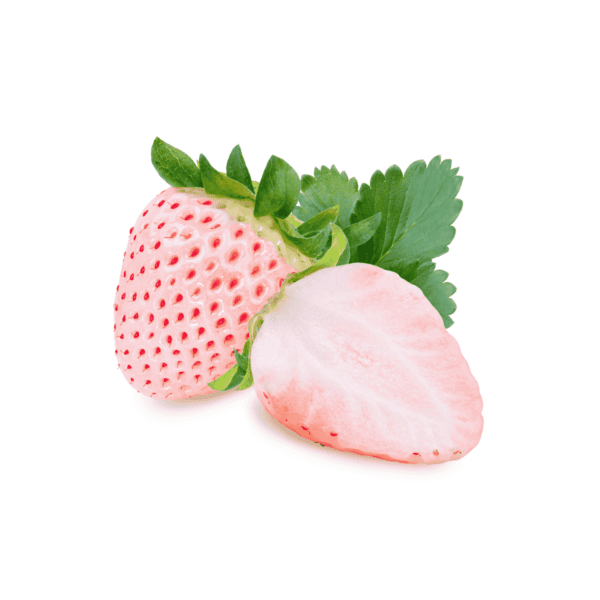 Pineberries Wholesale