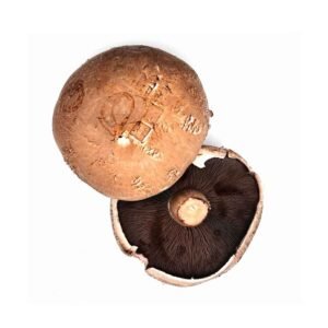 Portobello Mushrooms Wholesale