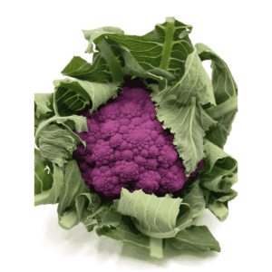 Purple Cauliflower Wholesale