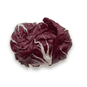 Red Chicory Wholesale