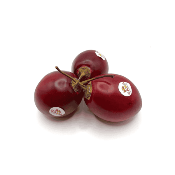 Red Tamarillo Wholesale