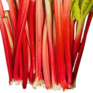 Rhubarb Wholesale