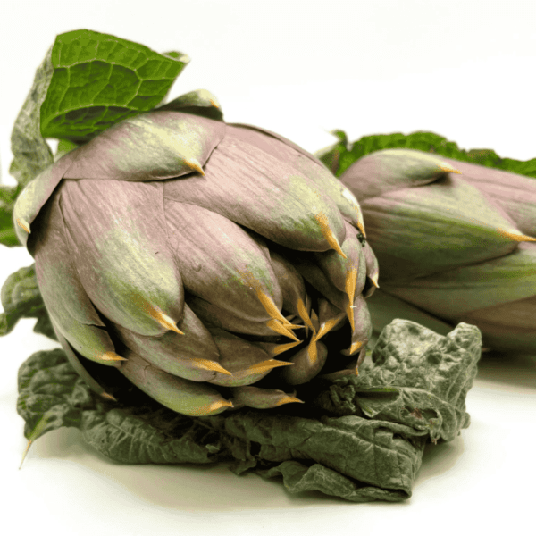 Spiky Artichokes Wholesale