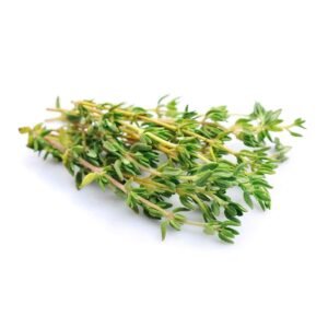 Thyme Wholesale