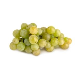 White Grapes Wholesale