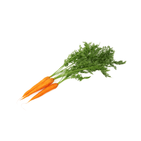 Baby Carrots Wholesale