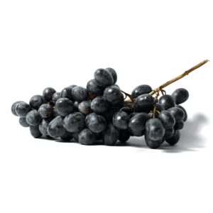 Black Grapes Wholesale