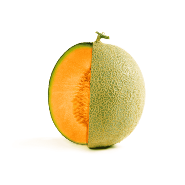 Cantaloupe Melons Wholesale