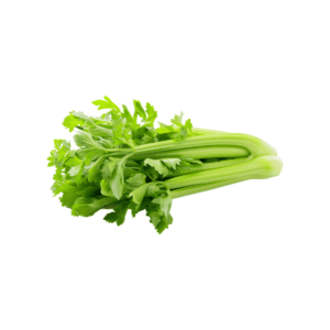 Celery Wholesale