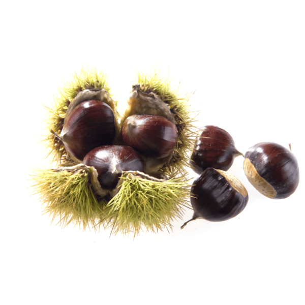 Chestnuts Wholesale