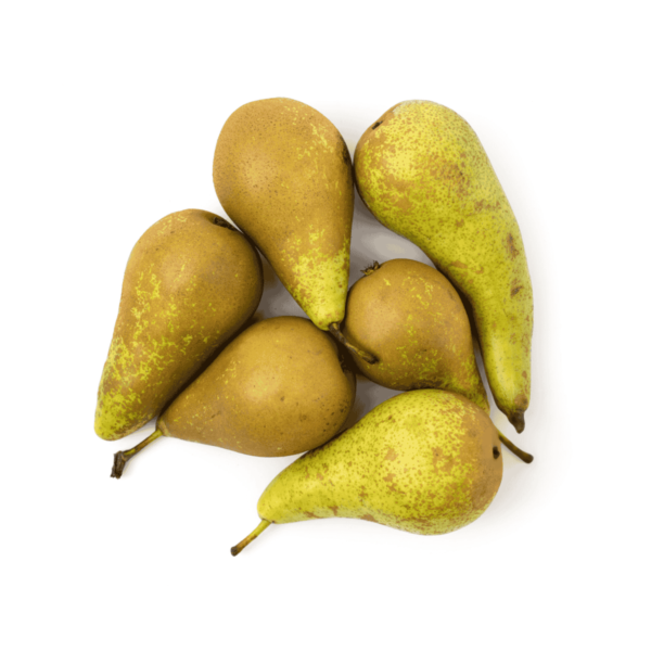 Conference Pear Wholesale