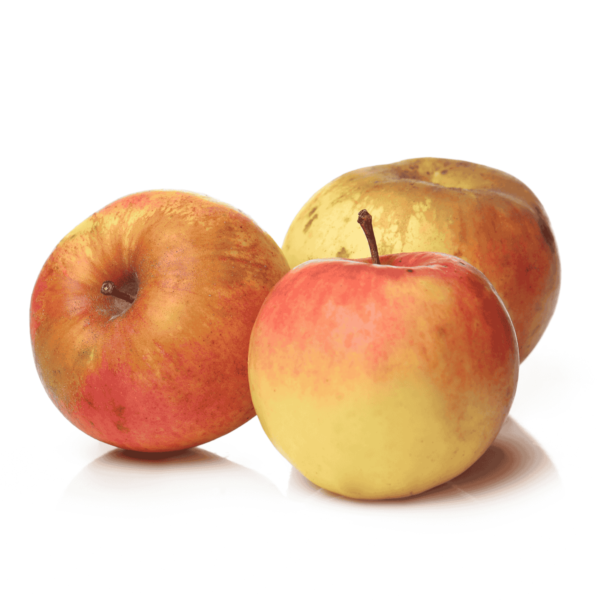 Cox's Orange Pippin Apples Wholesale