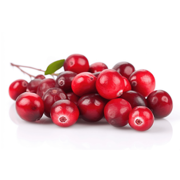 Cranberries Wholesale