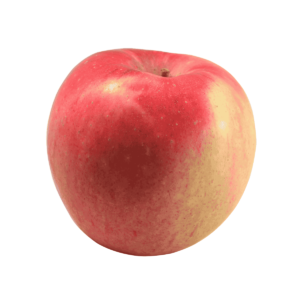 Fuji Apples Wholesale