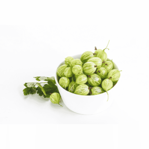 Gooseberries Wholesale