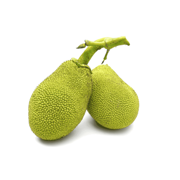 Jackfruit Wholesale