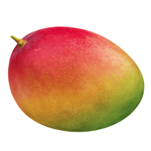 Mangoes Wholesale