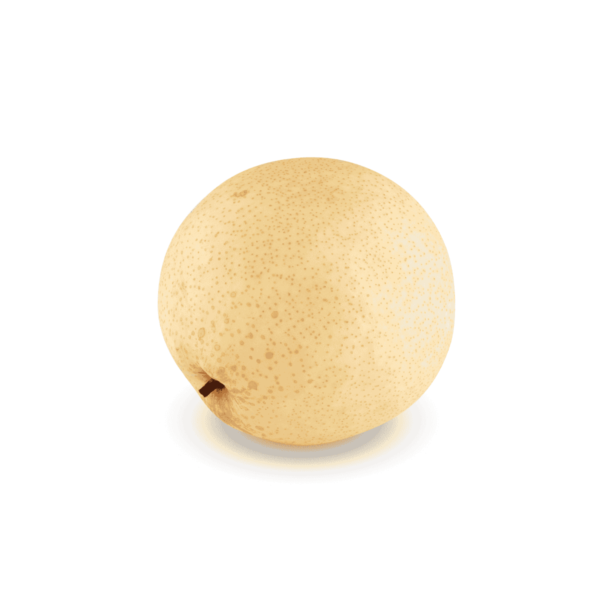 Nashi Pears Wholesale