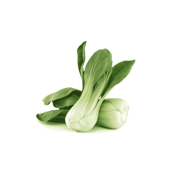 Pak Choi Wholesale