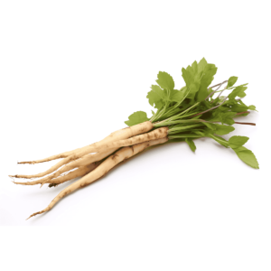 Piccolo Parsnips Wholesale