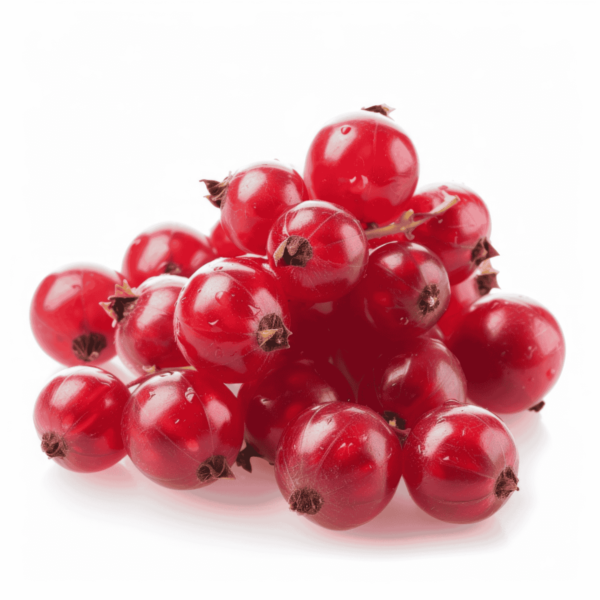 Red Currants Wholesale