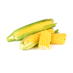 Sweetcorn Wholesale