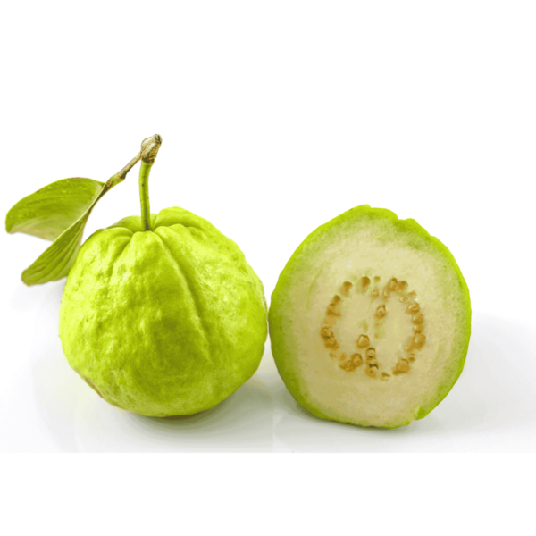 White Guava Wholesale