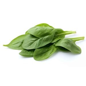 Baby Spinach Wholesale