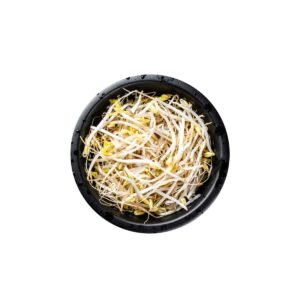 Bean Sprouts Wholesale