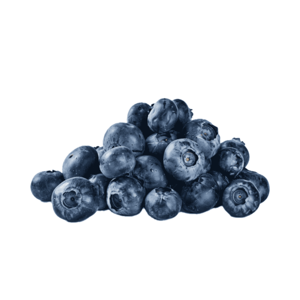 Blueberries Wholelsale